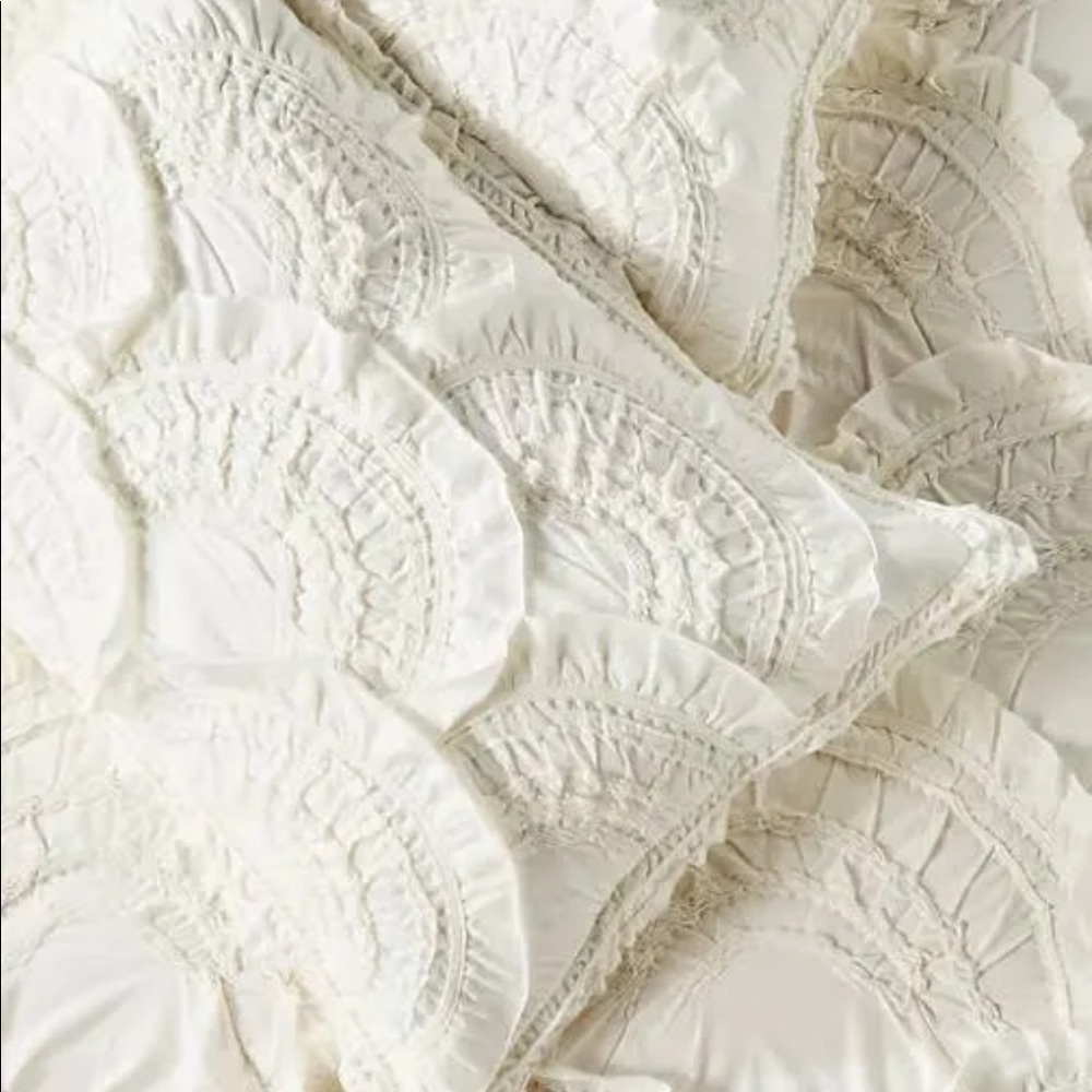 2 Anthropologie pillow shams